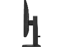 780F0AA-5_T1697678506.webp